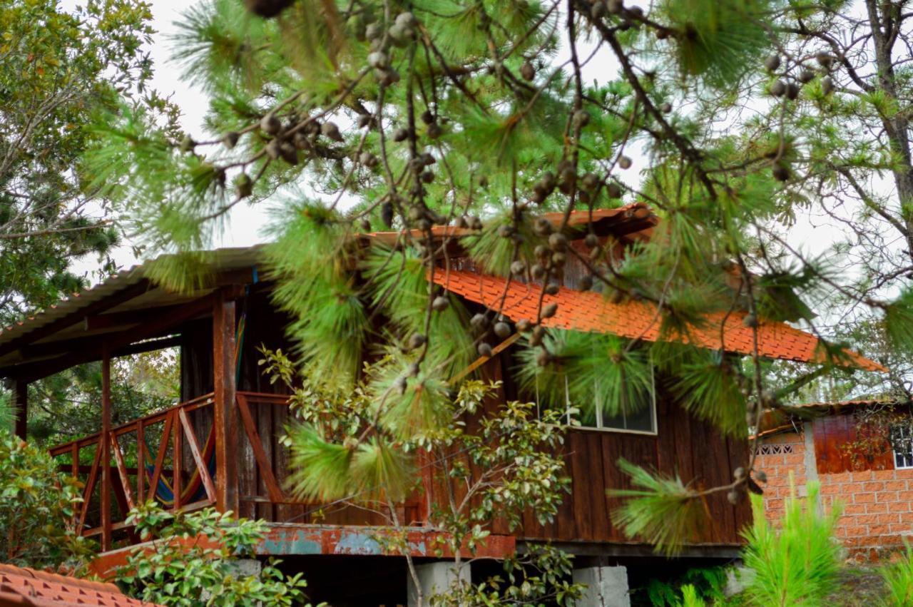 Hotel Y Restaurante Las Margaritas Perquín Exterior photo